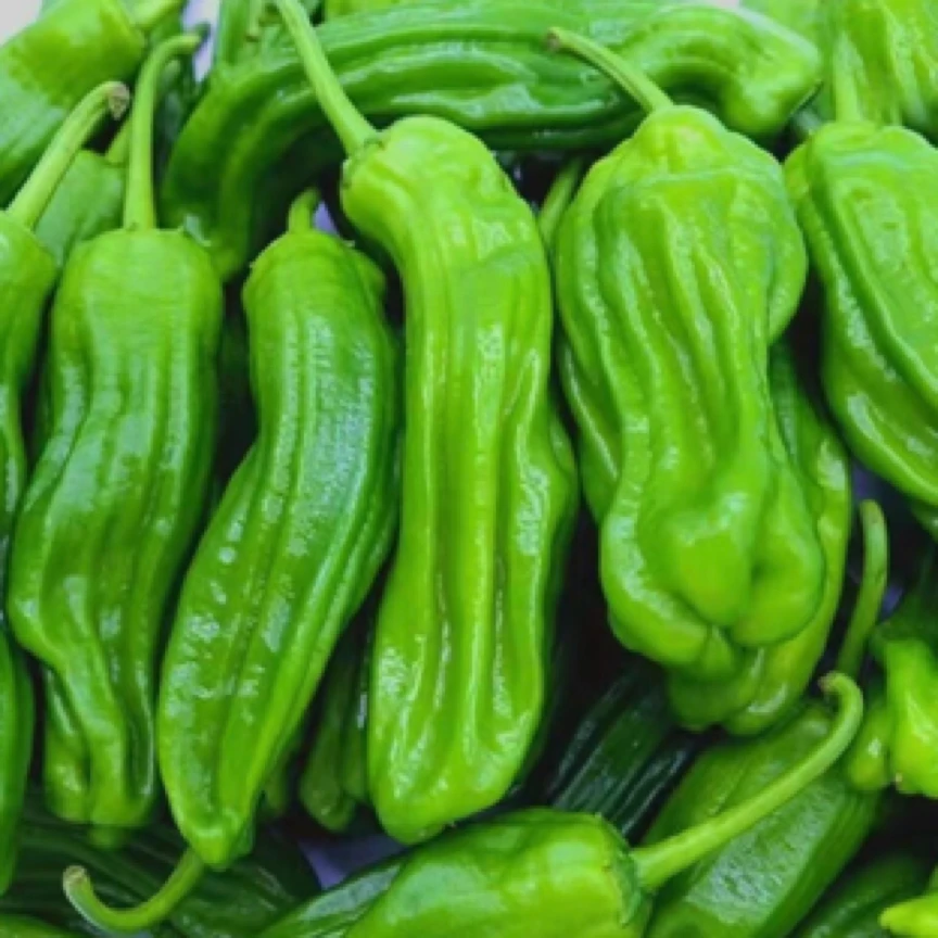 青泡椒（一斤）