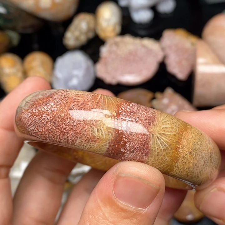 硅化珊瑚（珊瑚玉）手镯未镶嵌55