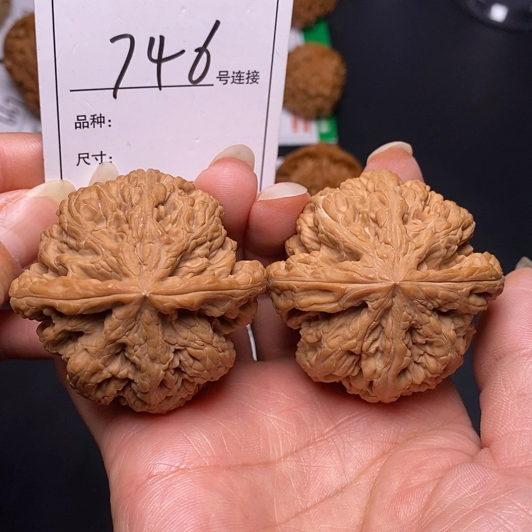 文玩核桃吊坠746粗筋5.0全品