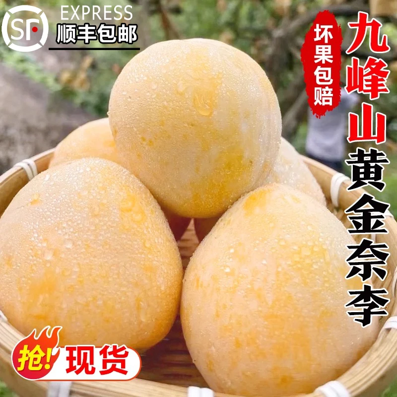 正宗九峰山黄金奈李粤北特产李子新鲜应季水果高山种植现摘现发