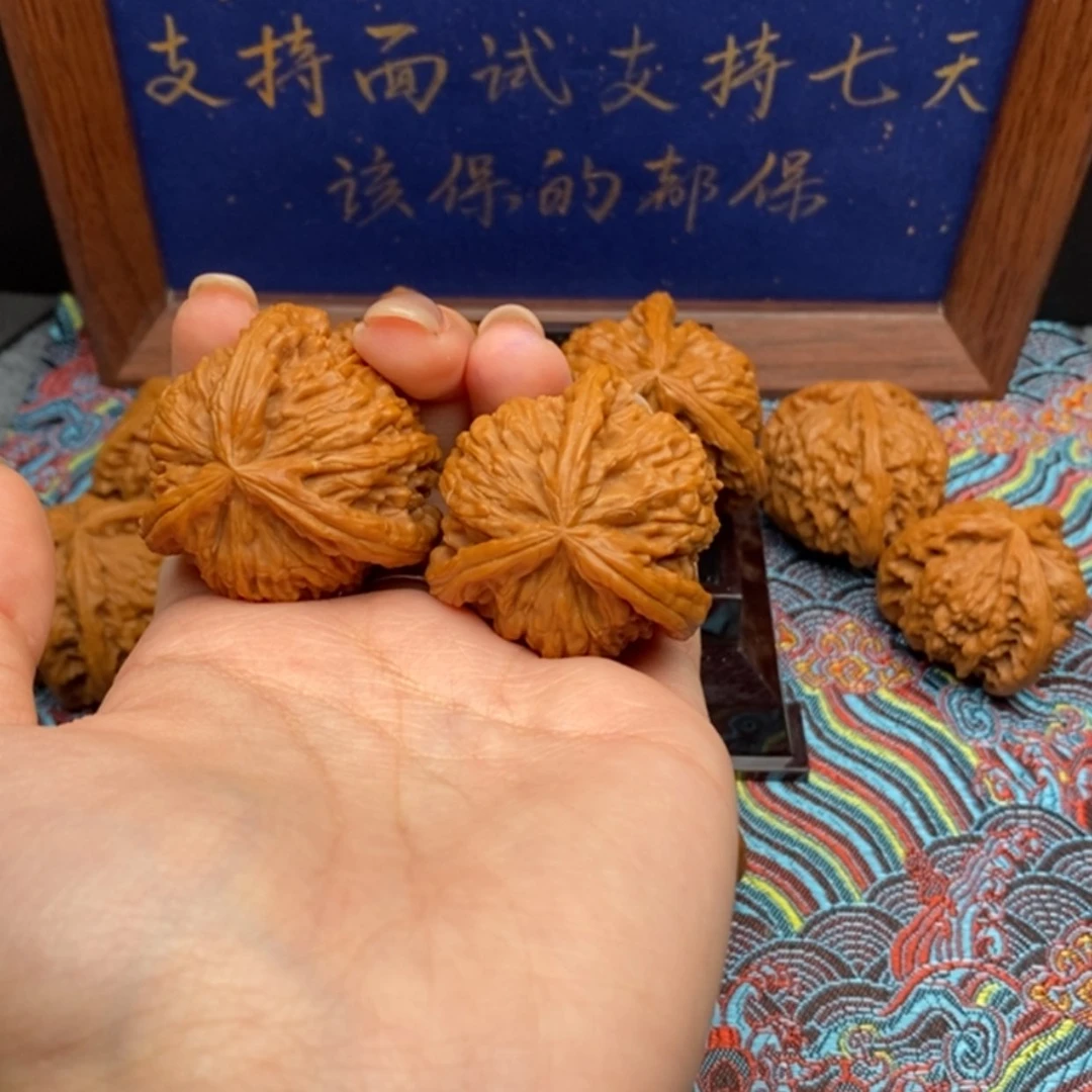 【闪购商品】战白狮
