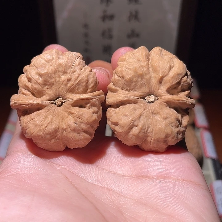 小***学手串/手链核桃蛤蟆头核桃