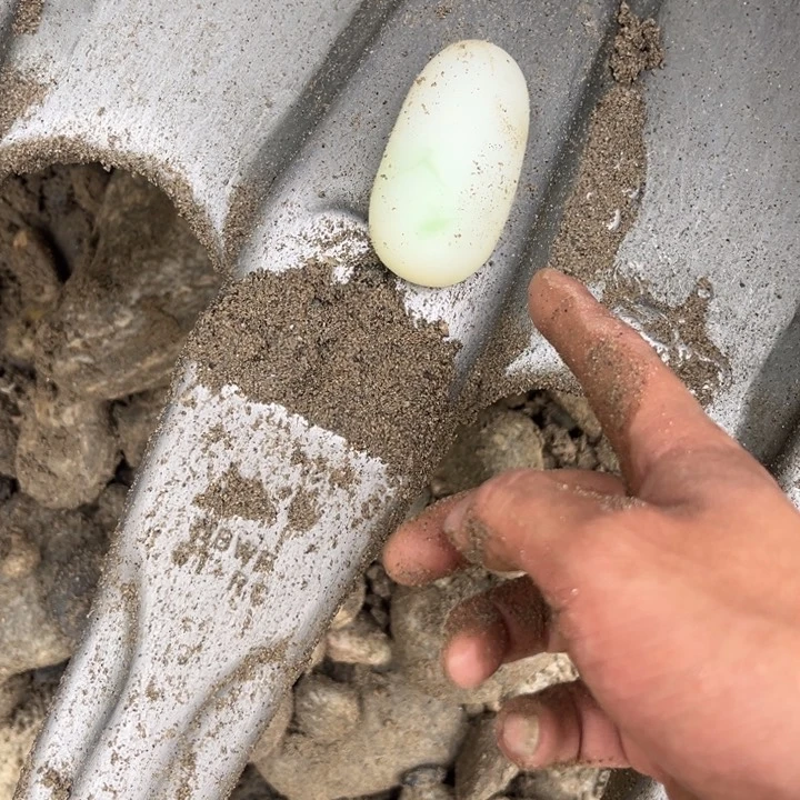 透闪石质玉未镶嵌珠宝奇石