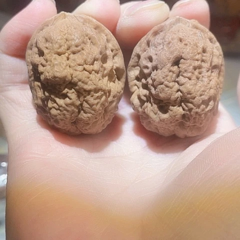 把件文玩核桃大理卧龙带彩39