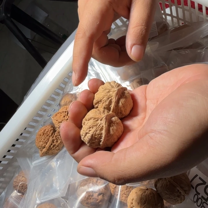 把件文玩核桃铁7号高货三棱随机发