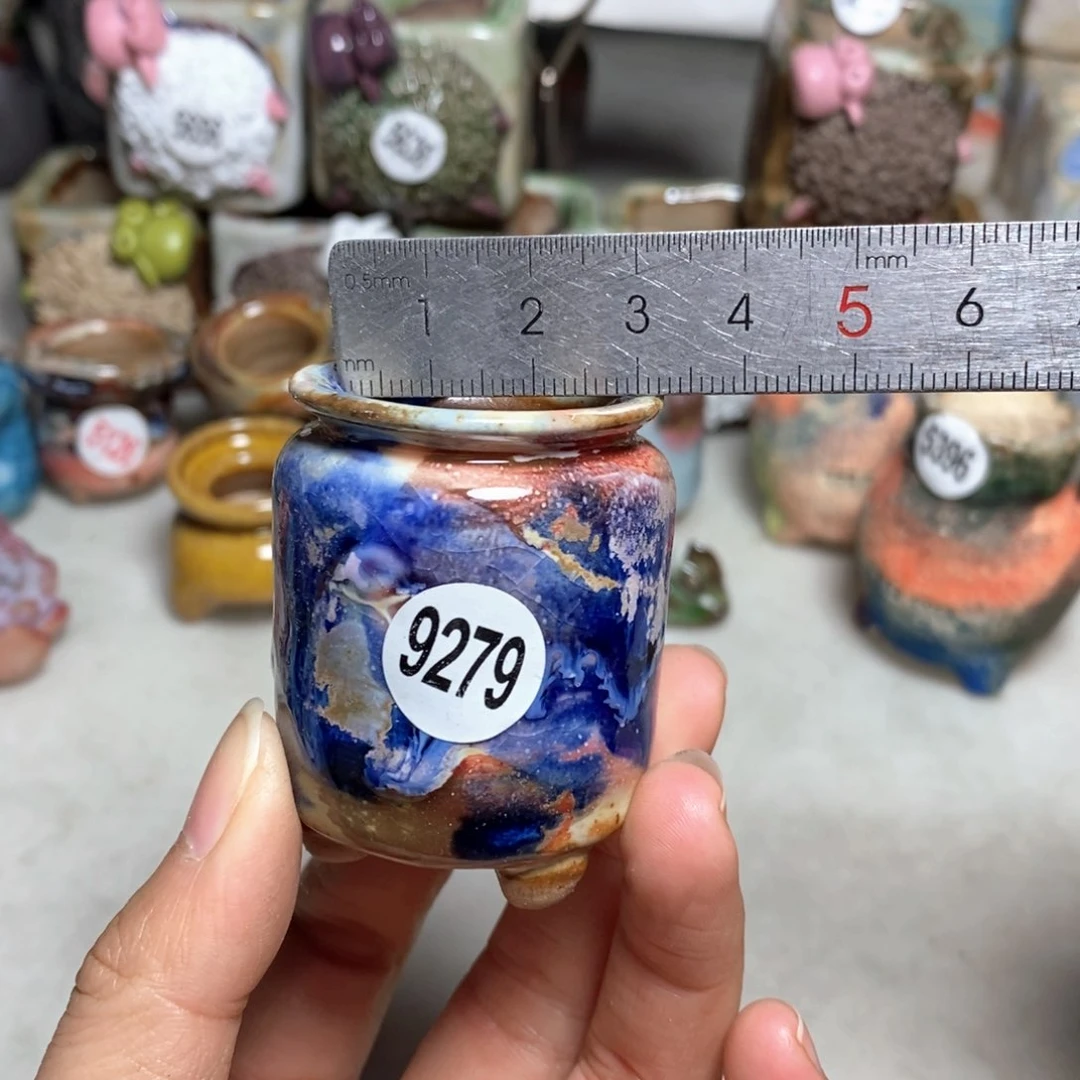 拍5送一个小礼物