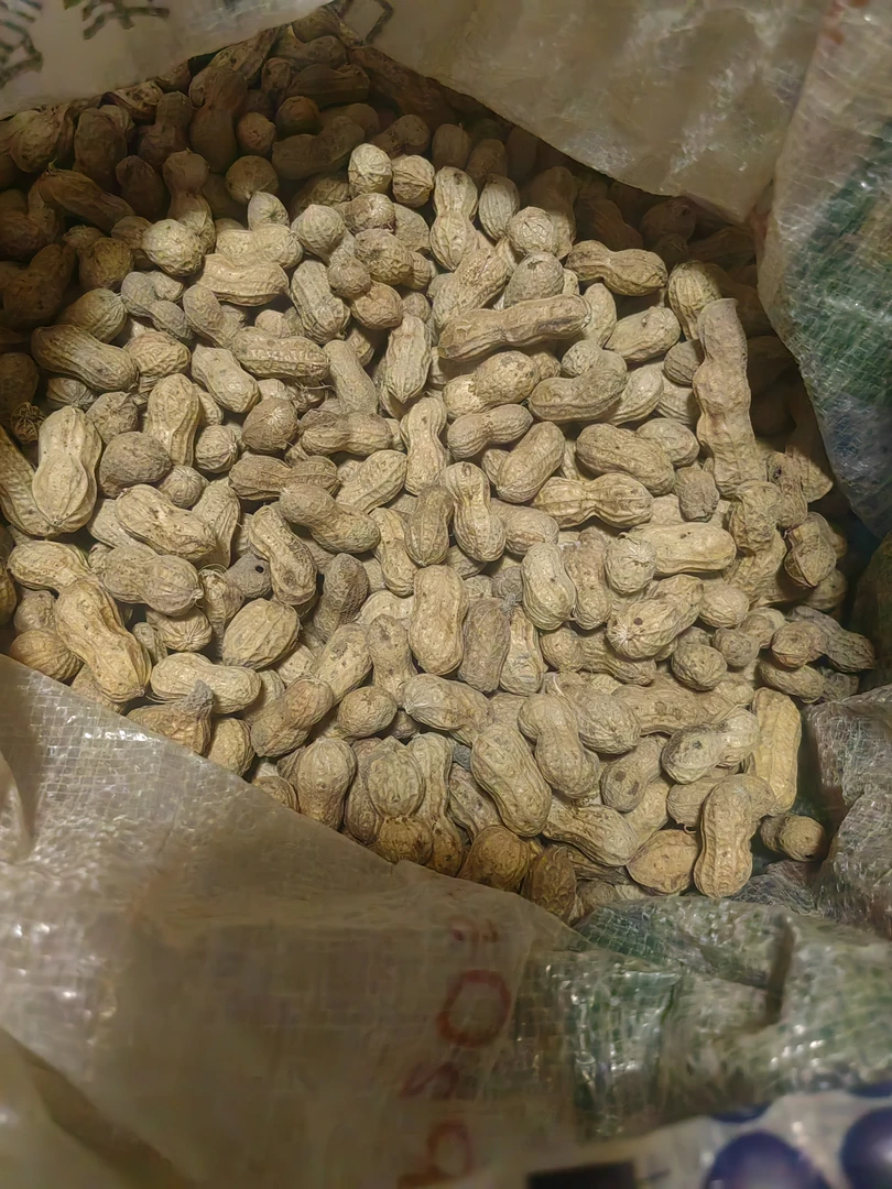 务川正宗农家花生颗颗饱满自然成熟