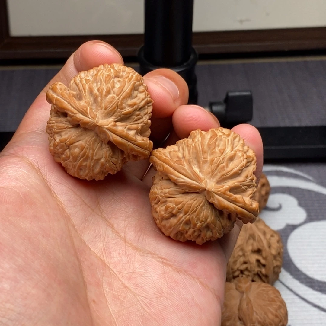 把件文玩核桃全品无修40白狮子
