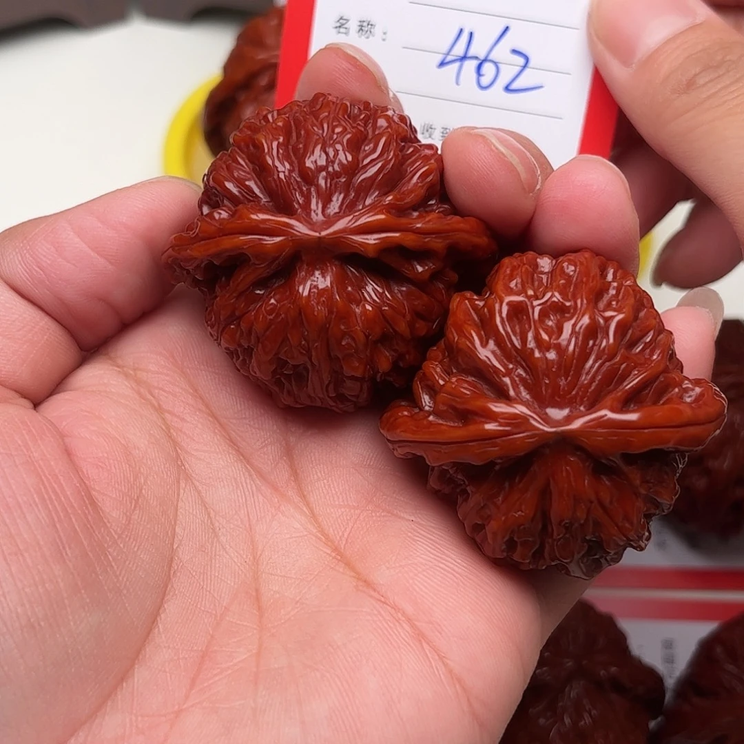 马***赞462。 44尺。 白狮子