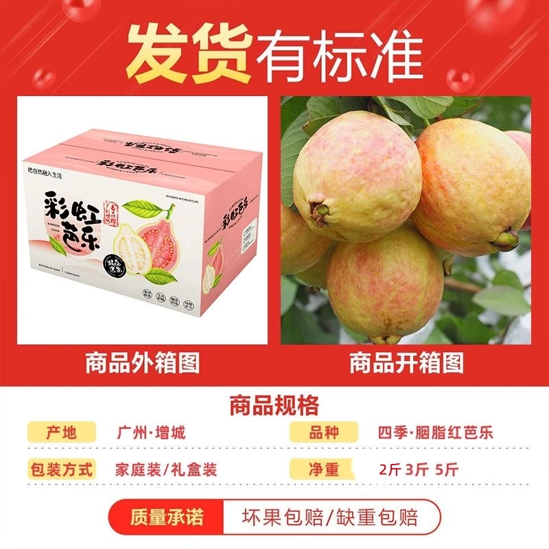 京东包邮增城胭脂红番石榴软糯香甜树上熟芭乐低糖水果2-5斤