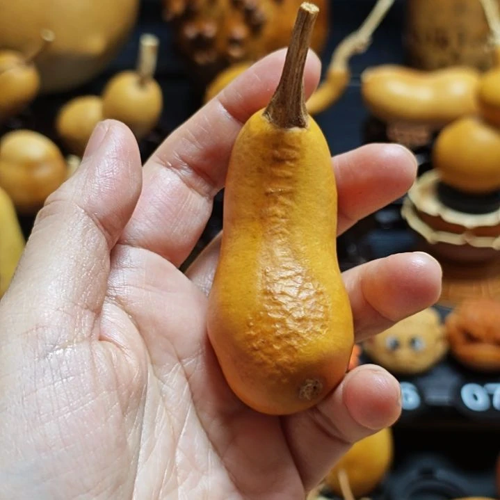 ***う直播间链接葫芦葫芦