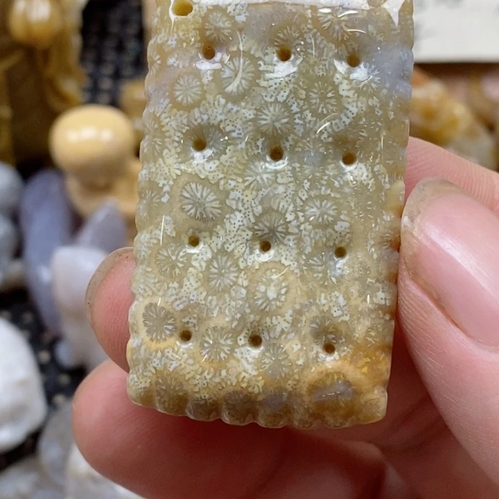 颈饰未镶嵌硅化珊瑚（珊瑚玉）