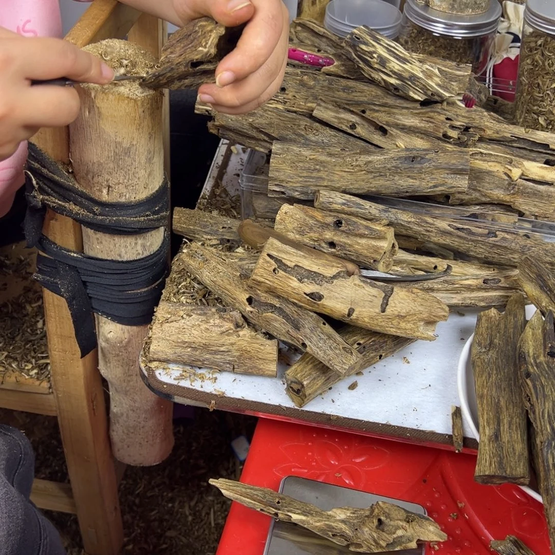 线香奇楠虫漏香20克