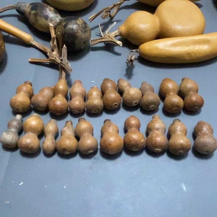 四****）葫芦花一条鱼和鱼一样多肉都