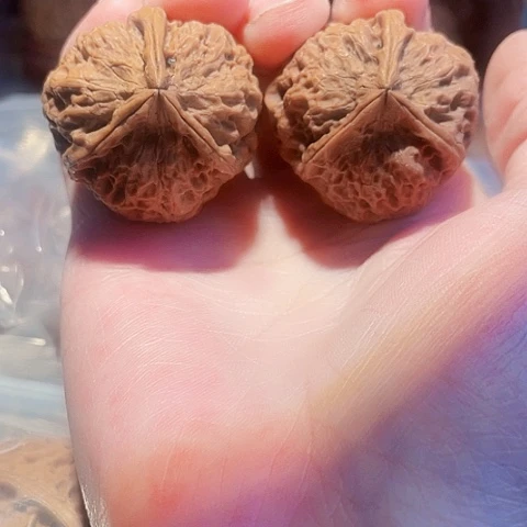 文玩核桃把件小凌子带彩36