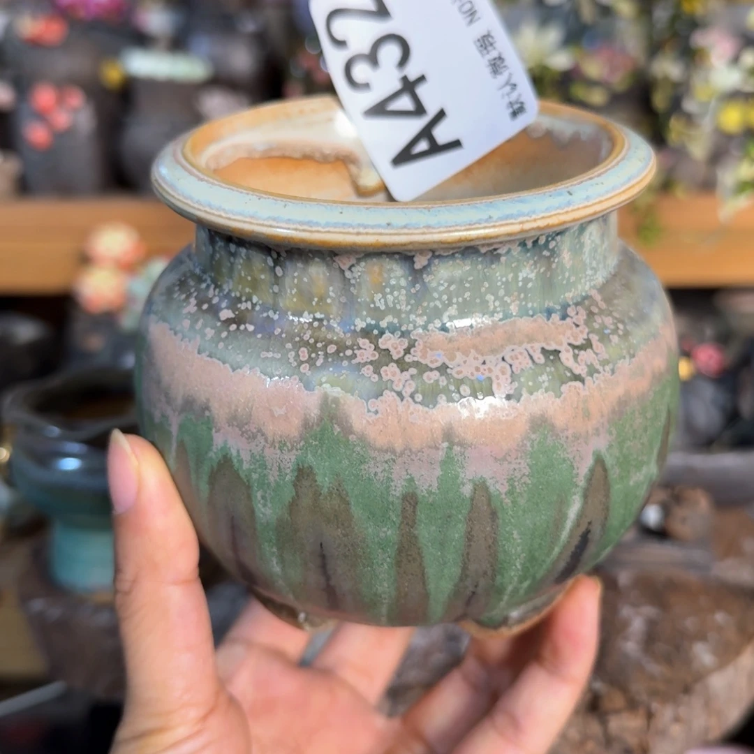 重庆小燕子欢迎大家432