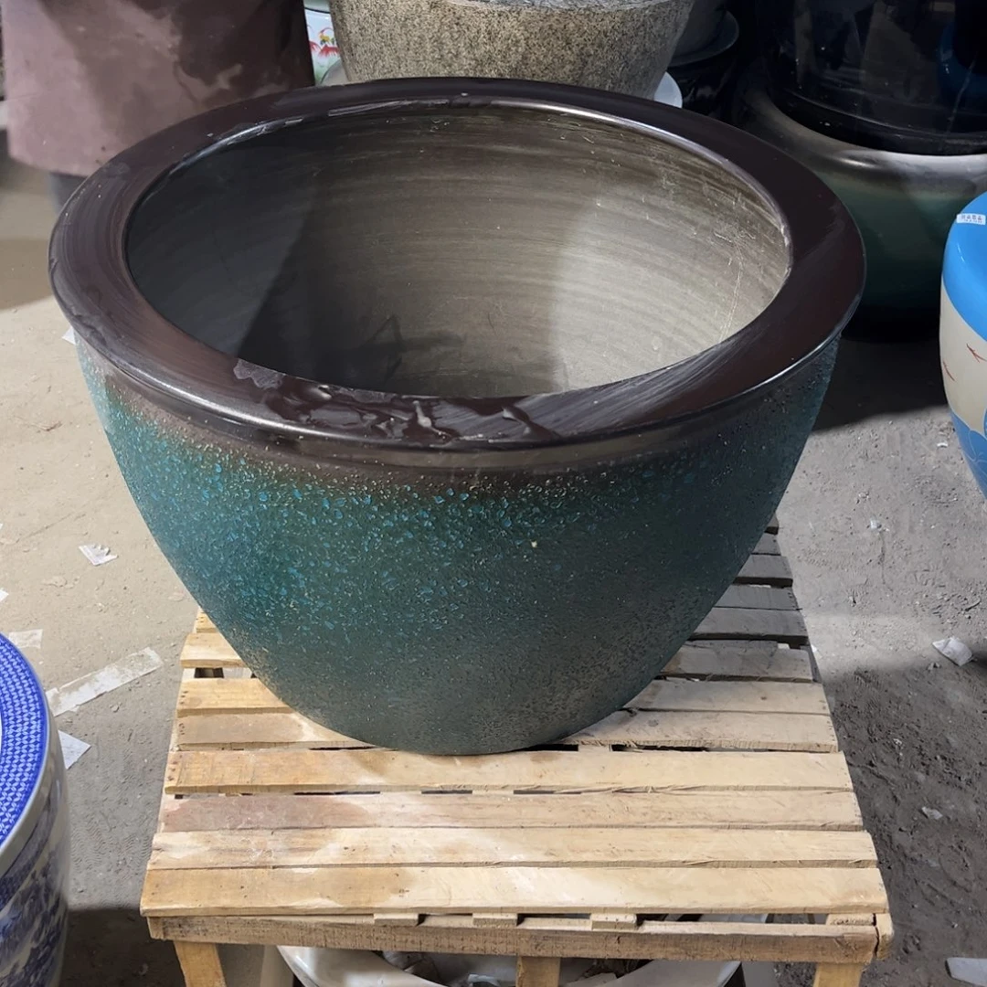 瓷片兰泡62.8888888