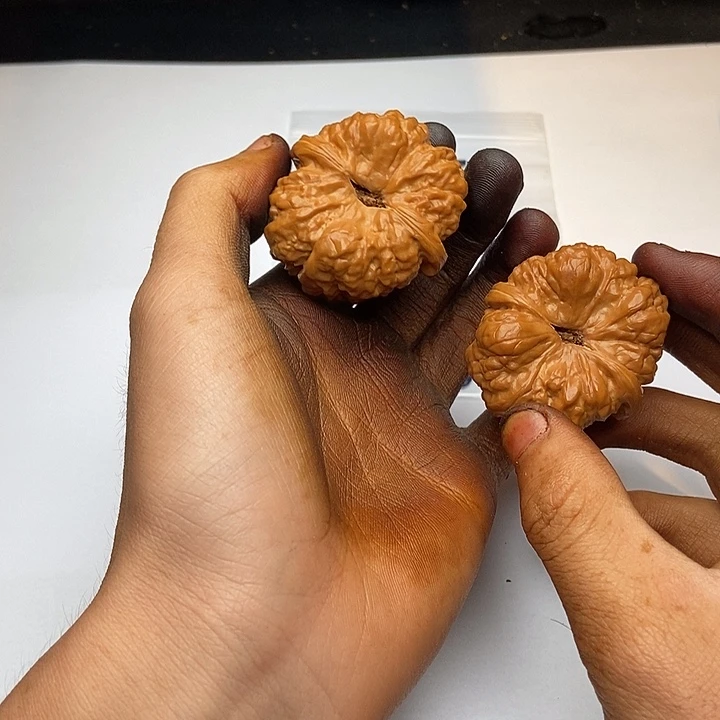 三***藏桃核吊坠5555555555555