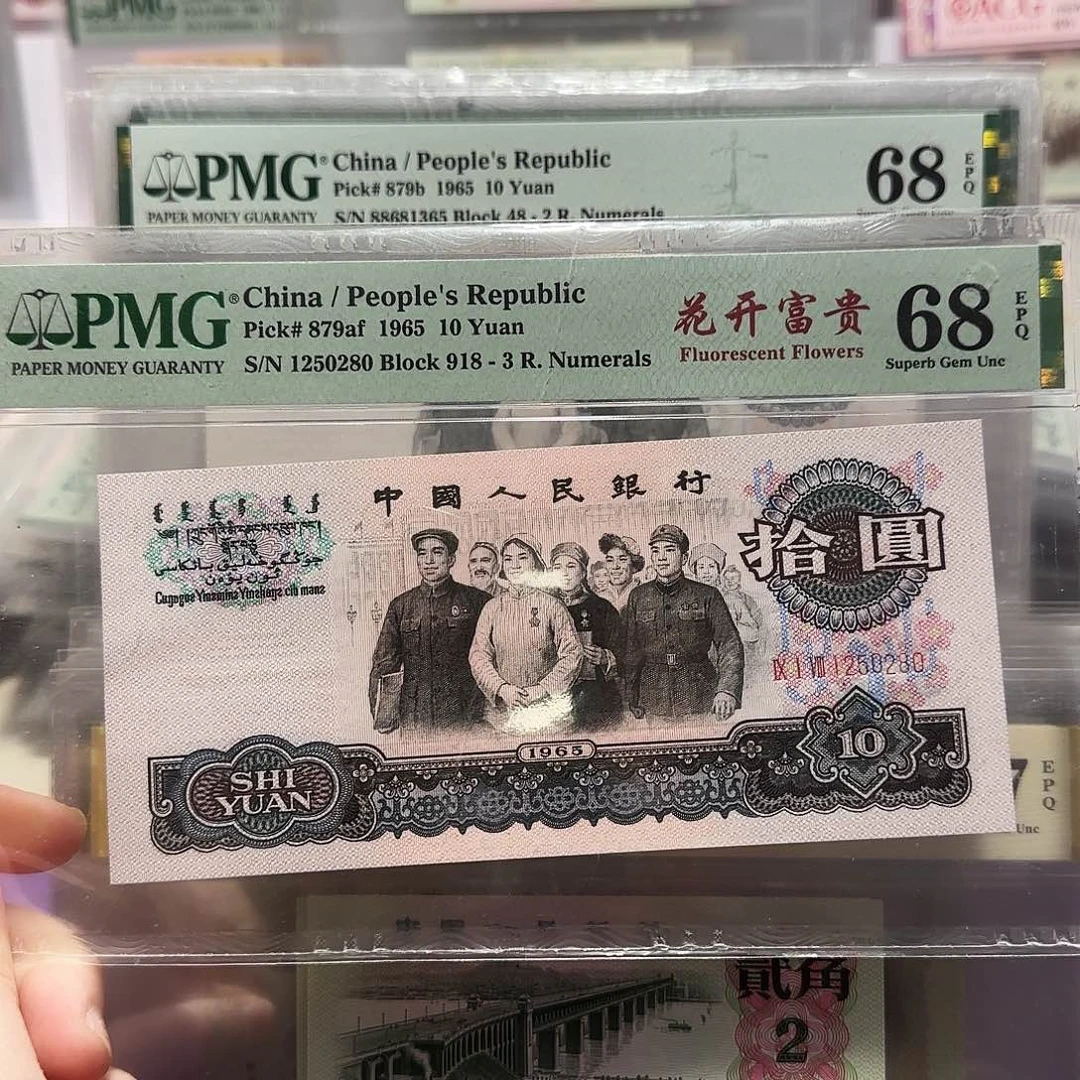 1250280。。。。三罗马花开富贵。。。。。。。