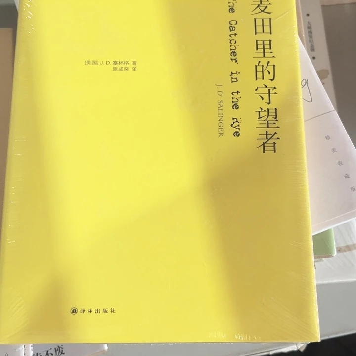 麦田里的守望者精装