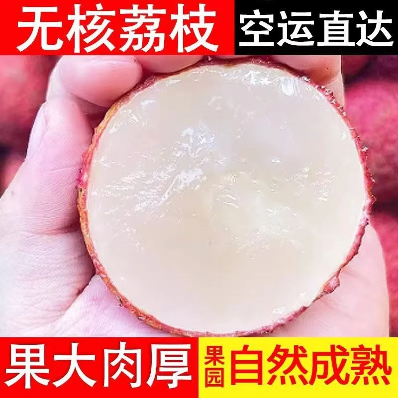 海南无核荔枝无籽荔枝新鲜5斤当季孕妇水果礼盒装顺丰空运3斤现摘