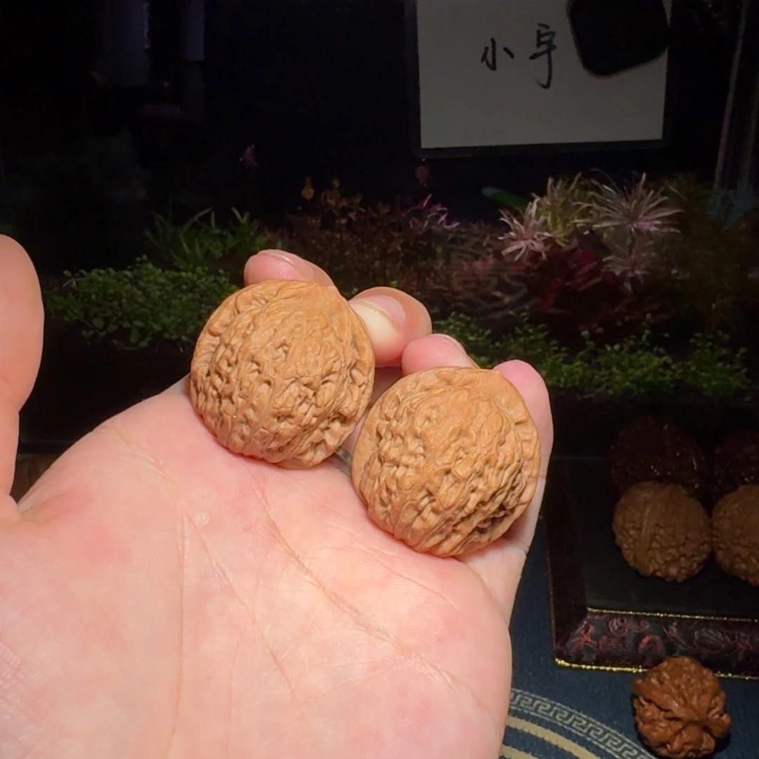 核桃把件1764号33原树玉观音文玩核桃