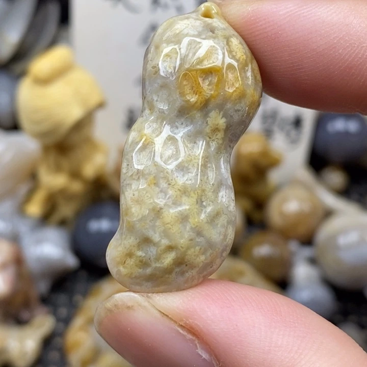 硅化珊瑚（珊瑚玉）未镶嵌颈饰