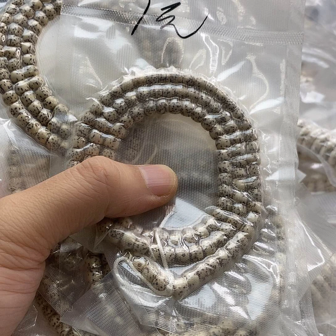 星月菩提吊坠一元福利