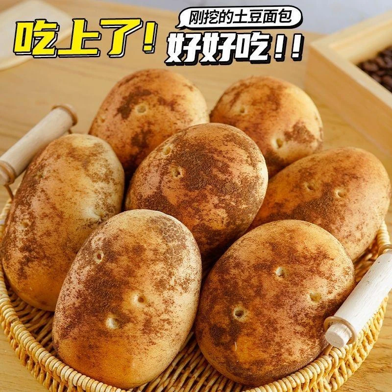 土豆面包鲜牛乳芋泥夹心无蔗糖休闲营养早餐整箱轩