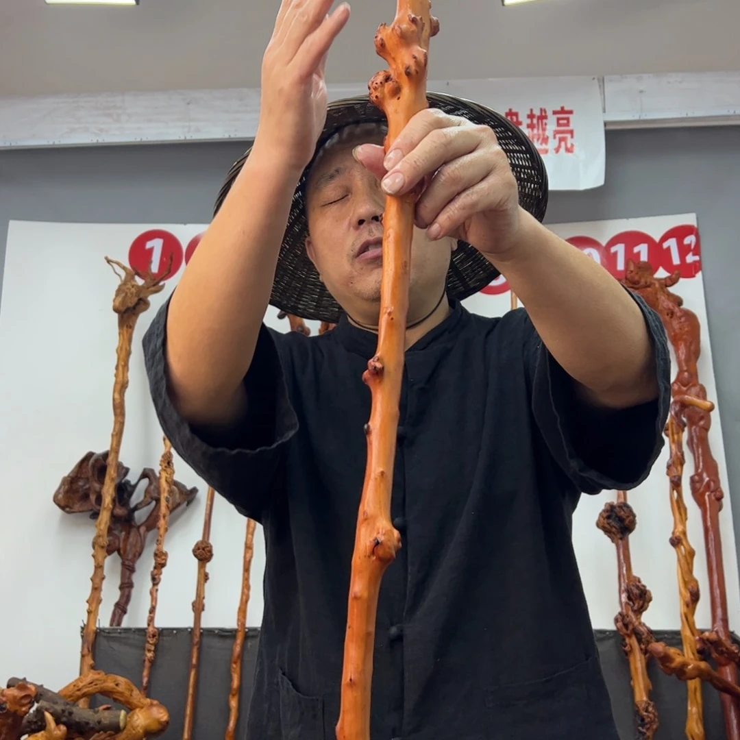 黑果木其他黑果木163