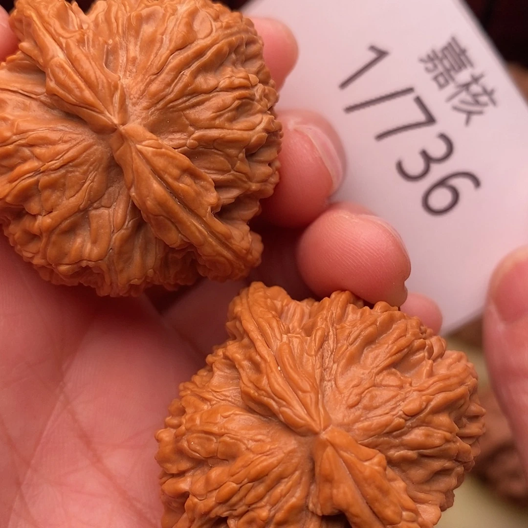 文玩核桃把件42白狮子