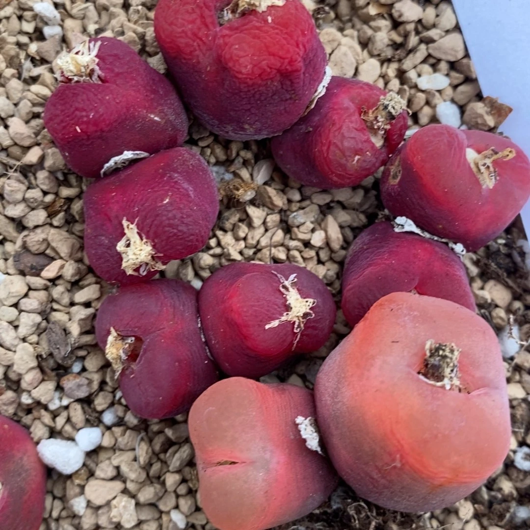 1192一组一组一组