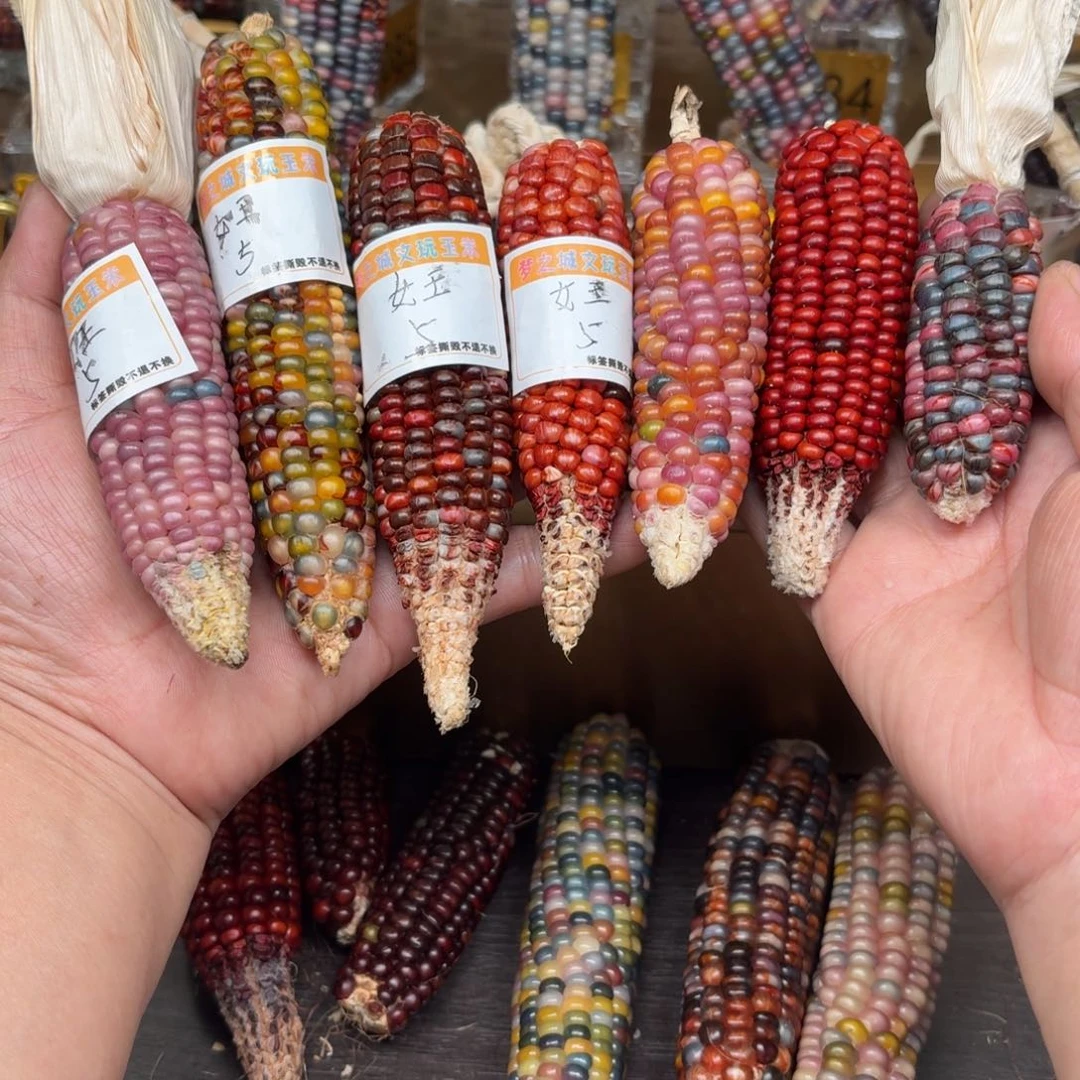 柏香籽/百香籽吊坠女****瞳