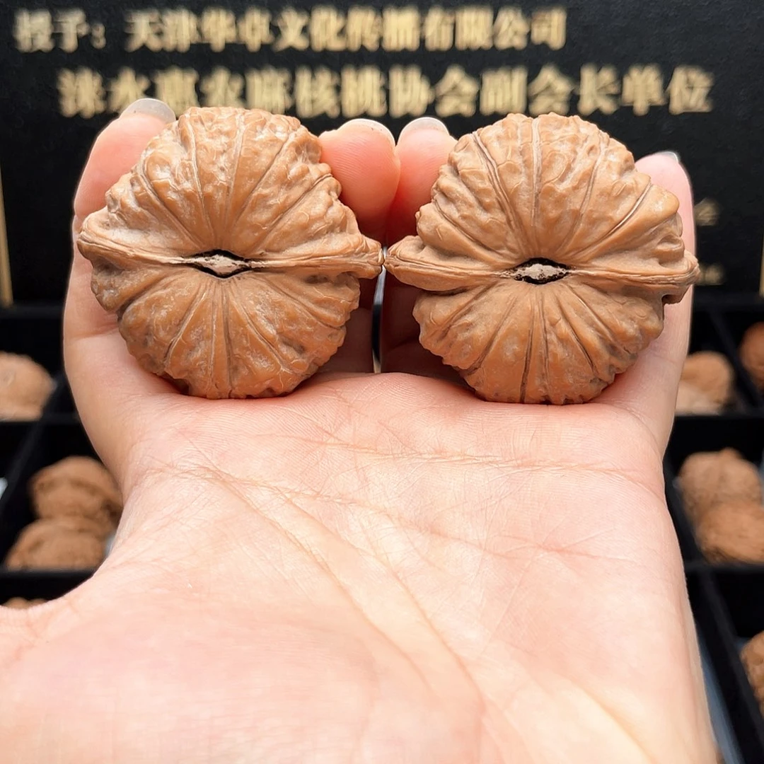 把件文玩核桃紫****子4801毕业级圆凹满肉➕近正肩58克