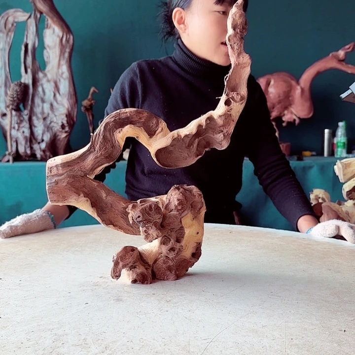 黑果木延*集499金丝红木羊蹄甲半成品