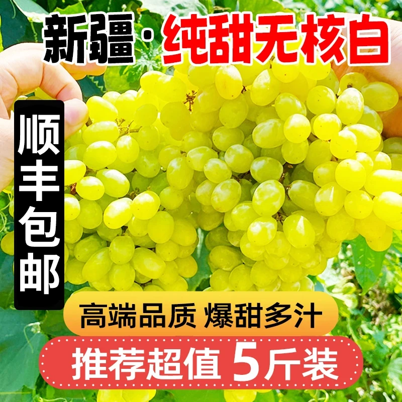 S2【顺丰包邮】正宗新疆吐鲁番无核白葡萄无籽新鲜当季水果整箱青提