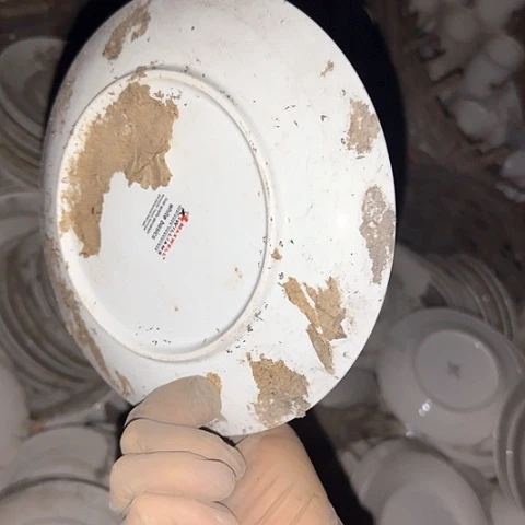 瓷片国营厂库存微瑕20.5厘米