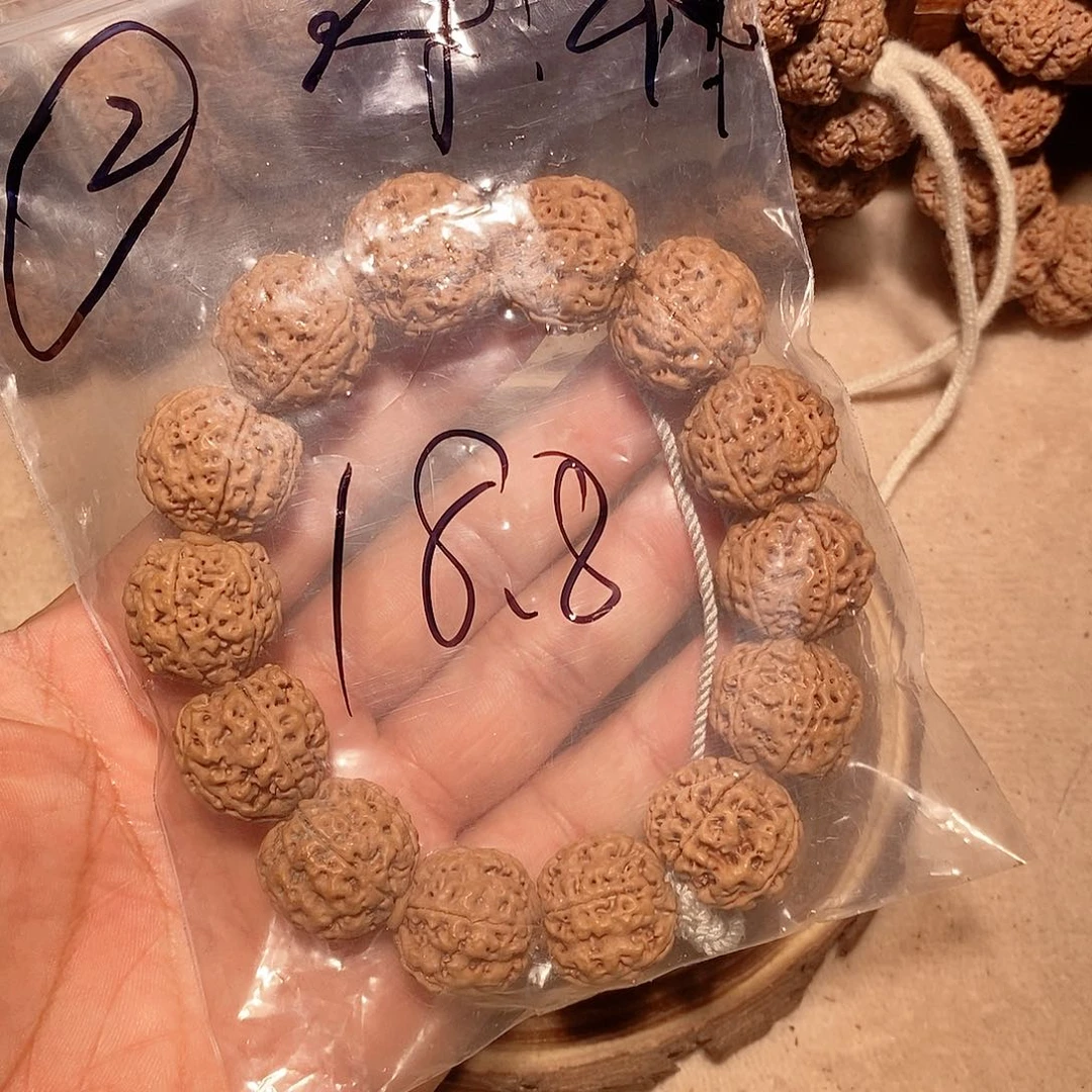 手串金刚菩提2。