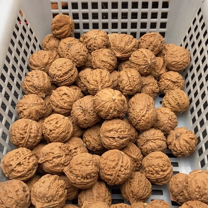 78粒定制打孔，定制商品不退不换