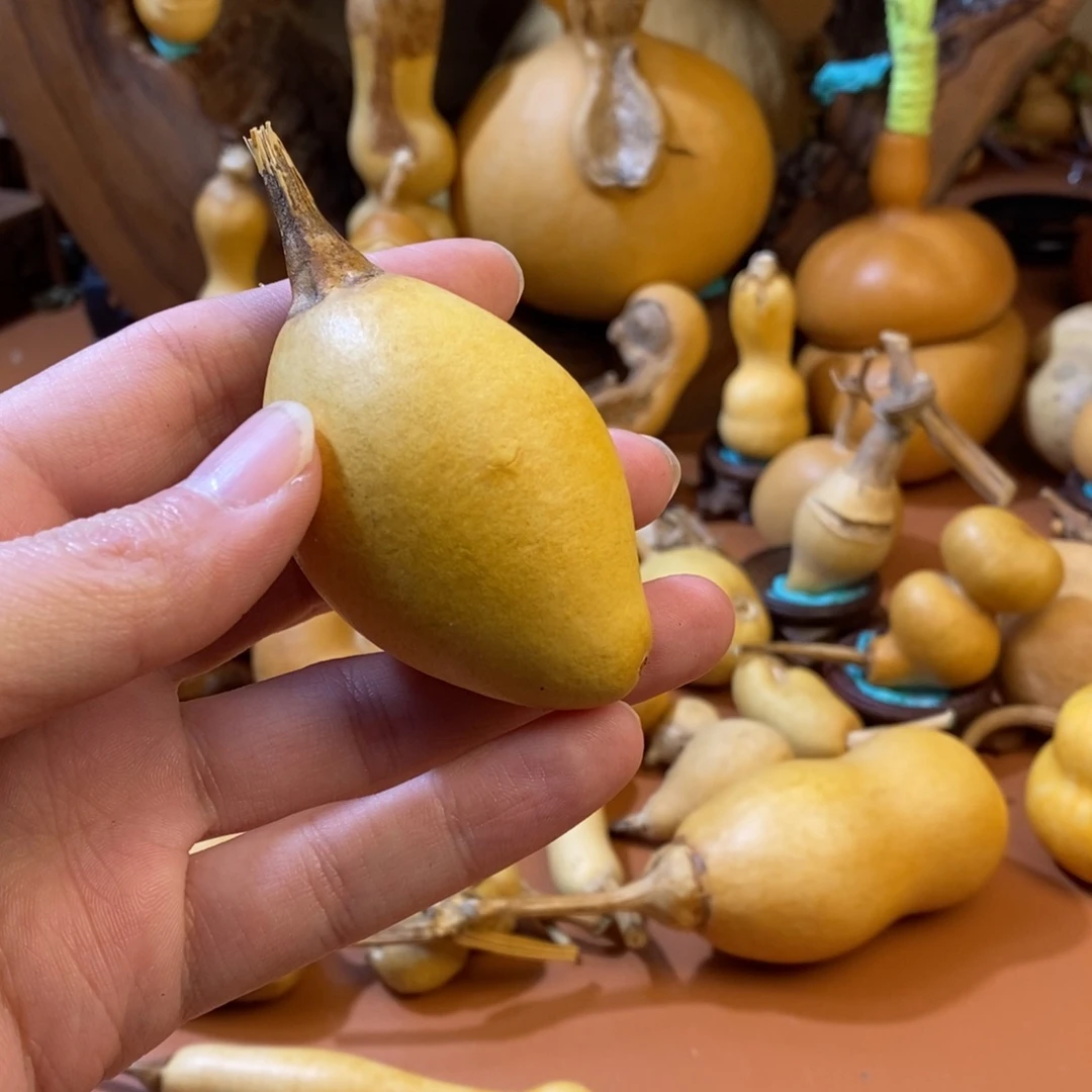 毛***哈教练教练教练教练教练教练