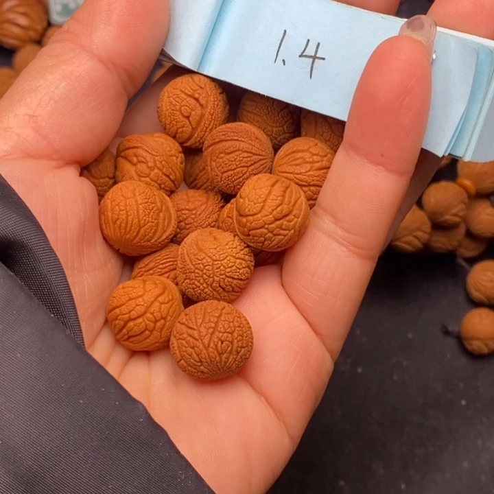 秦岭龙纹桃核17颗