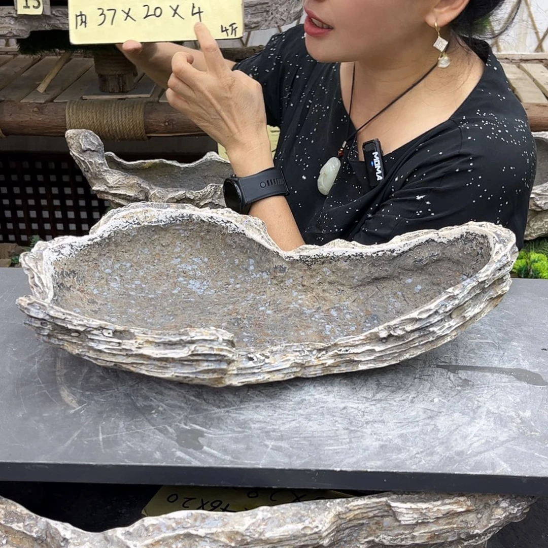 盆景盆景展的一个p1-005