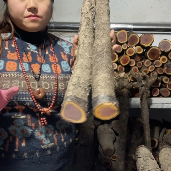 火流璃的嗯嗯嗯嗯嗯