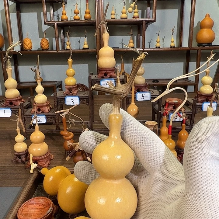 爱***冷蚂蚁蚂蚁蚂蚁蚂蚁