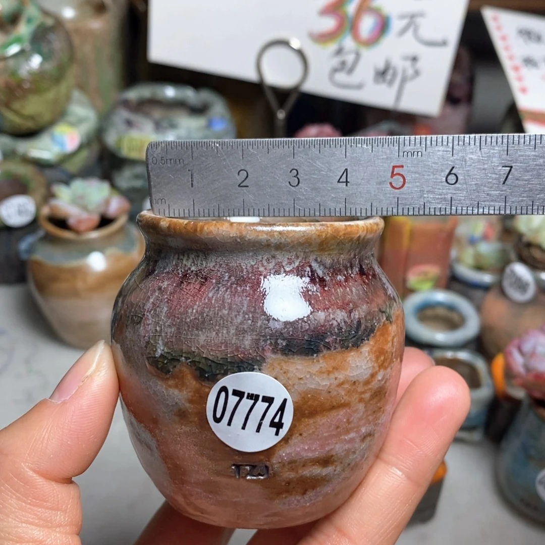 花盆拍5送一个小礼物