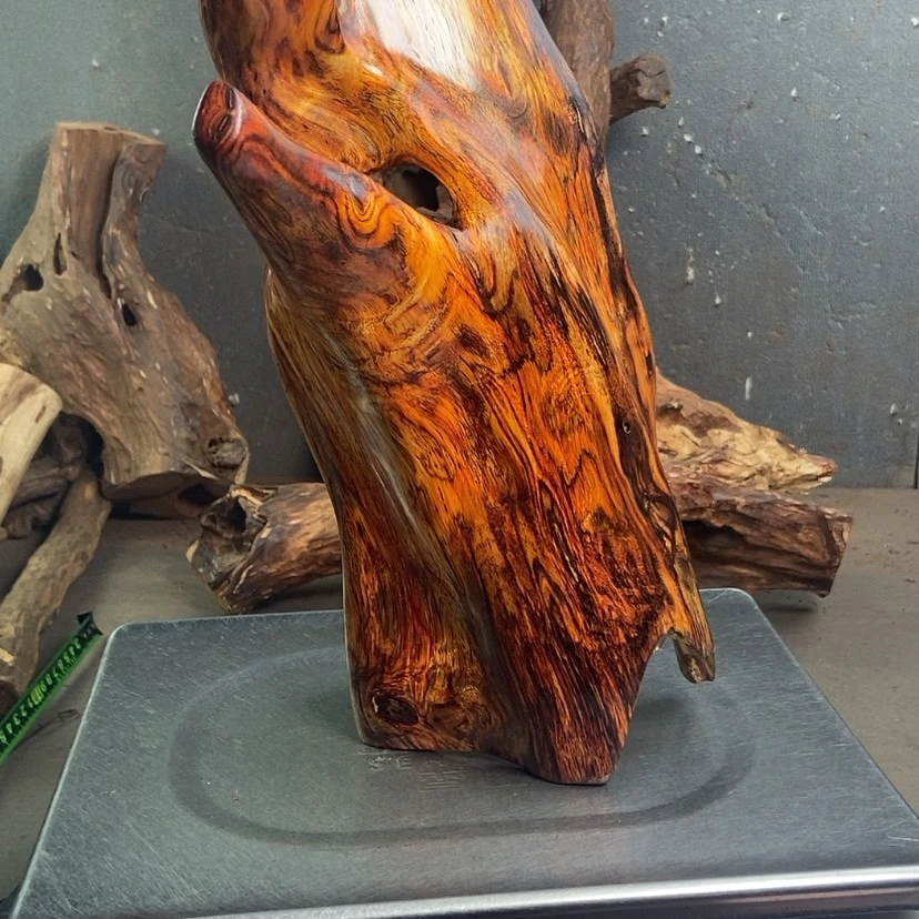 【闪购商品】黄花梨/降香黄檀华****荐