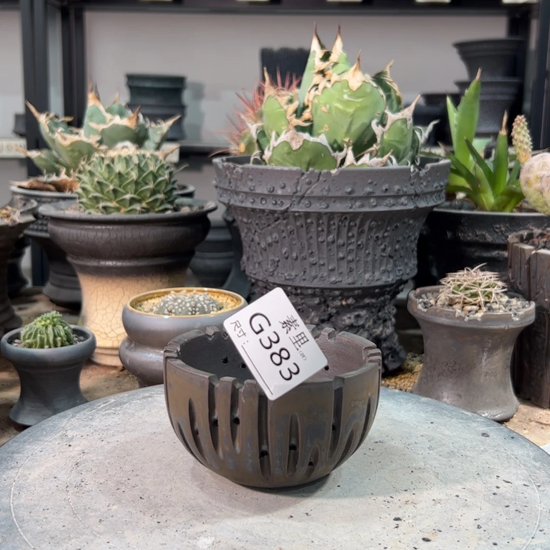 景德镇素里手工内口9.5高6