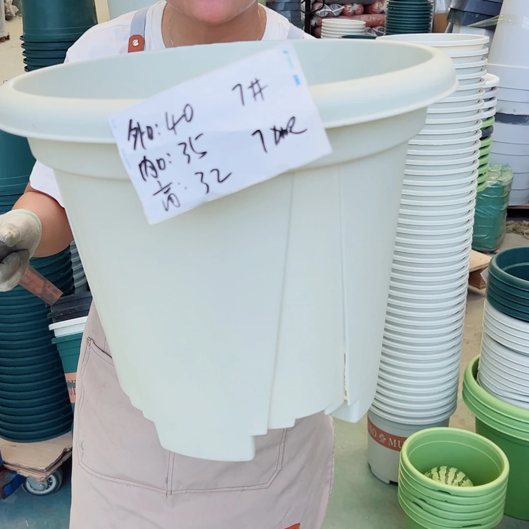 青山盆7#米白色5个无托