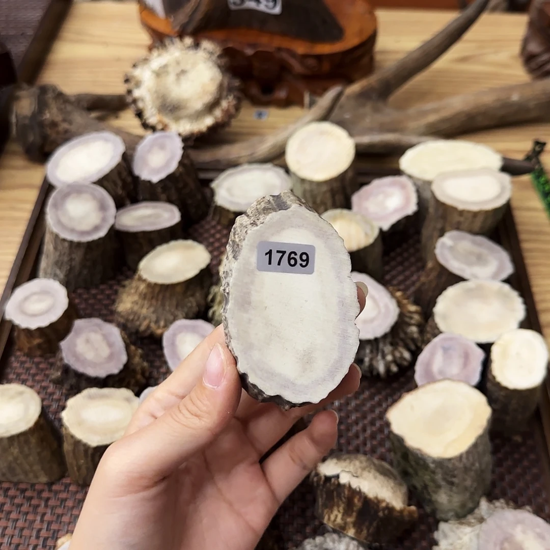 鹿骨手串/手链1769片