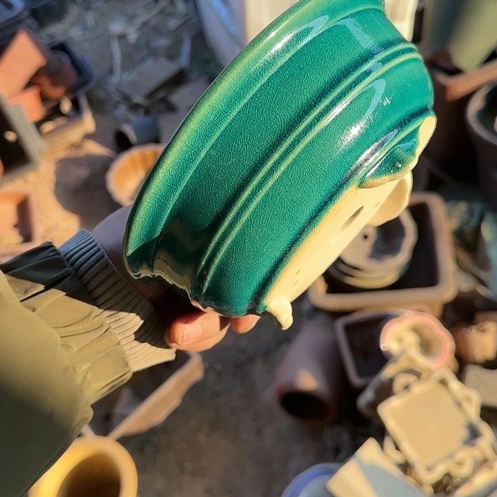 是因为她太喜欢了所以还是觉得不应该在